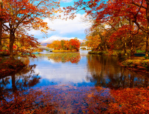 【どうみん割10月】紅葉のニセコ神仙沼散策とヒルトンニセコビレッジ洋食ランチ