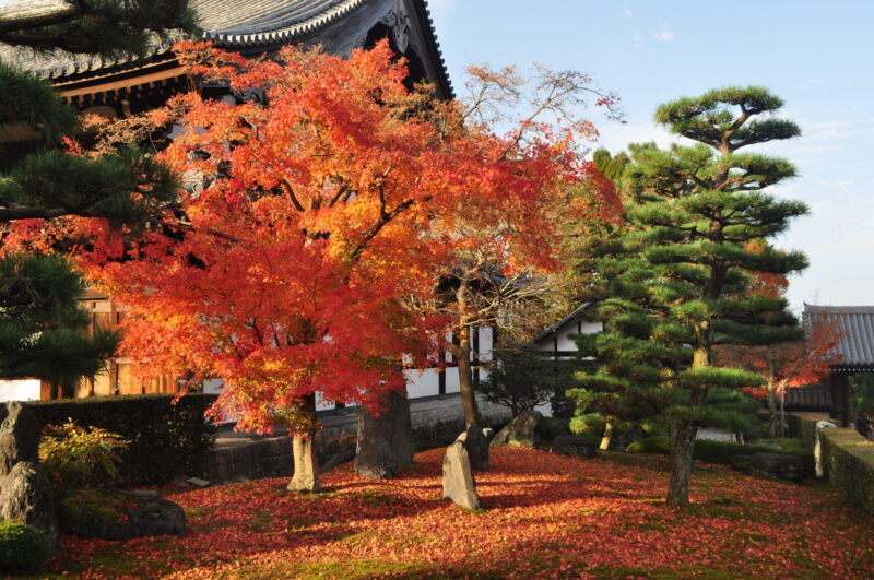 京都東福寺