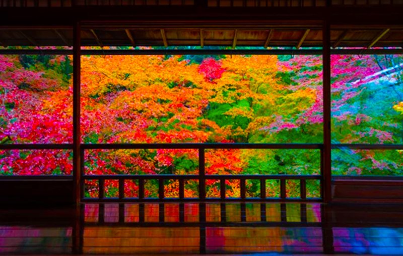 京都三重塔