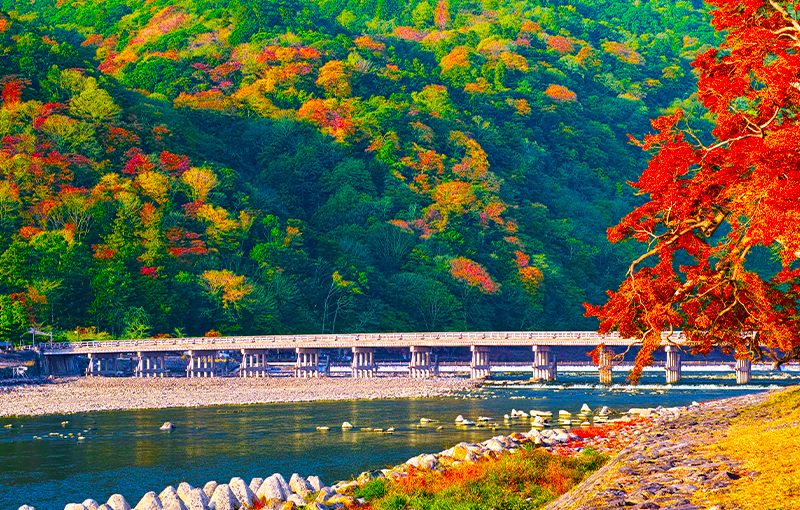 【旭川発着】錦秋の京都🍁厳選絶景の紅葉めぐり〜東福寺・永観堂・南禅寺・伏見稲荷神社・嵐山散策～【３日間】