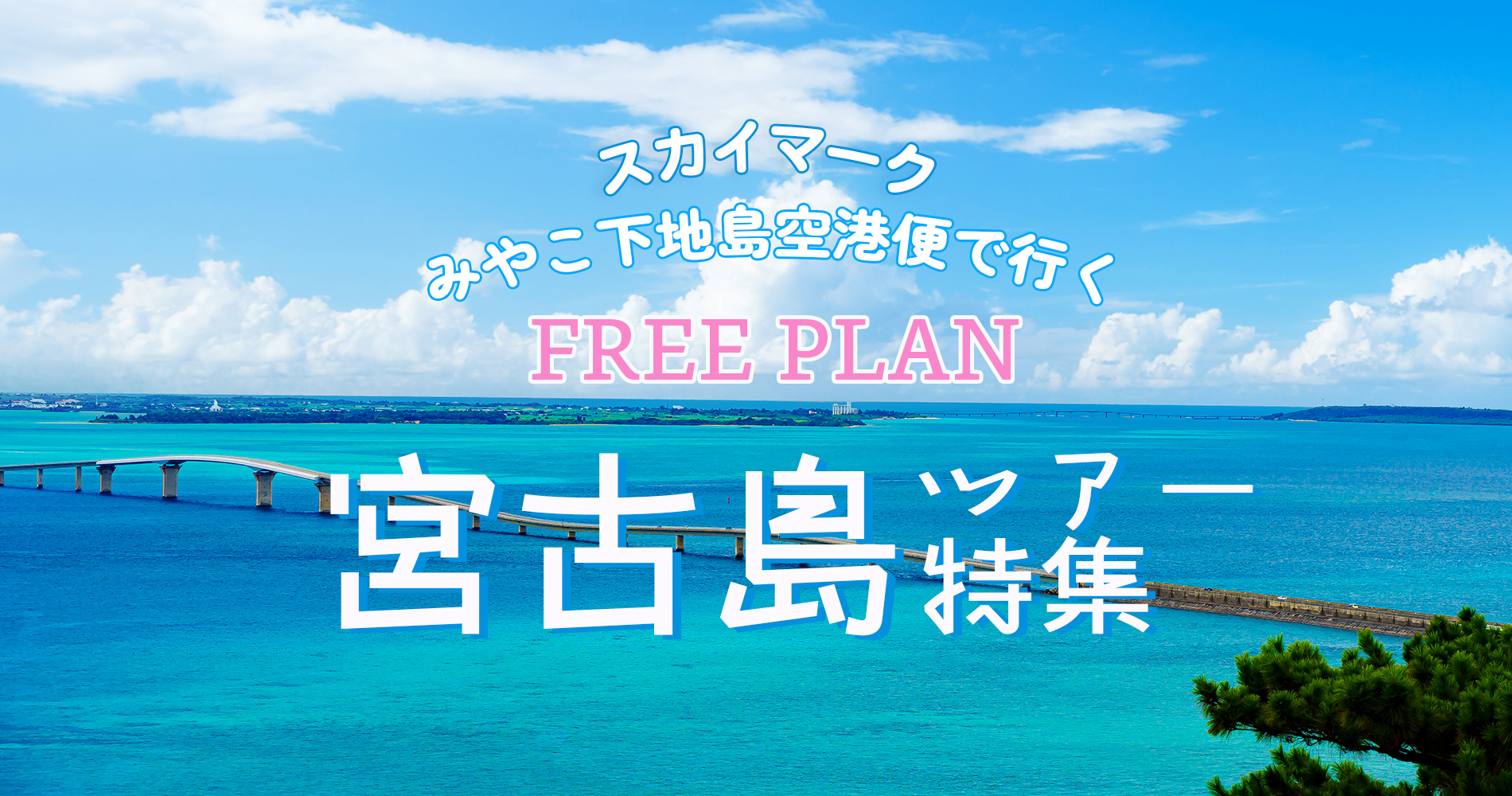 宮古島ツアー