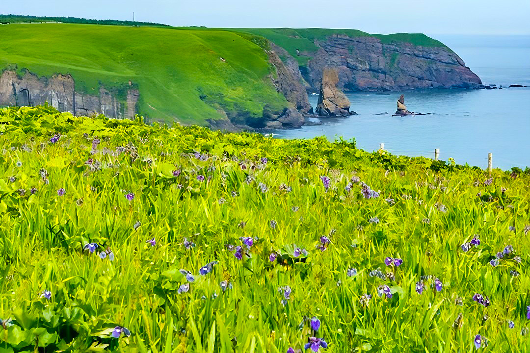【札幌発着】厚岸味覚ターミナルコンキリエで炭火焼き海鮮ランチ✦あやめヶ原散策【２日間】