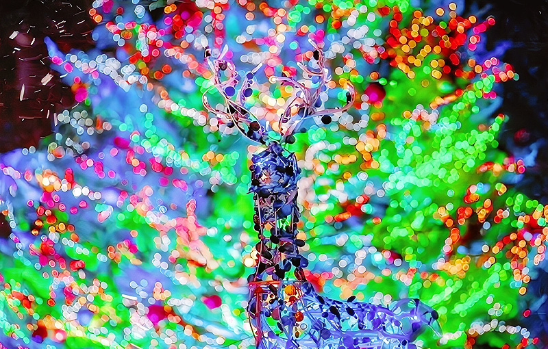 【札幌発着】はこだてクリスマスファンタジー＆異国情緒漂う函館満喫【２日間】