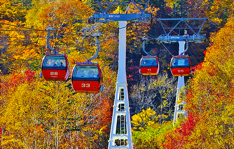 【苫小牧発着】札幌国際スキー場🚠紅葉ゴンドラと人気ランチビュッフェ【日帰り】