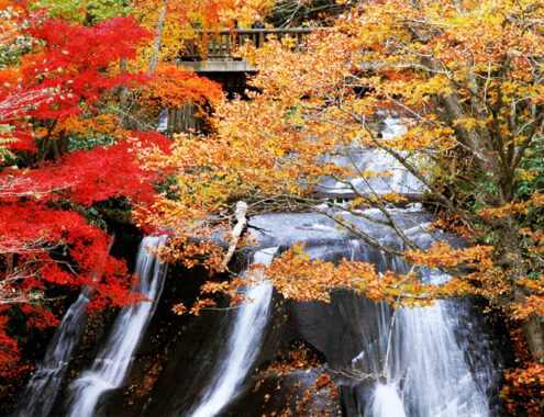 【コープさっぽろ創立60周年キャンペーン✦札幌発着】紅葉の恵庭「白扇の滝✦ラルマナイの滝」とキッコーマン工場見学【日帰り】