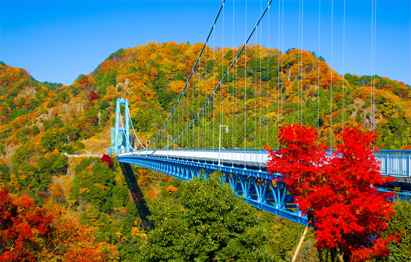 竜神大吊橋