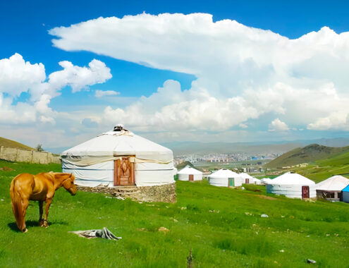 【新千歳空港発着】ミアットモンゴル航空で航く✨️はじめてのモンゴル✦添乗員同行の旅【６日間】