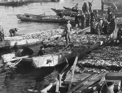 【札幌発着】ニシンの豊漁の地✦増毛・小平の 歴史・文化・食を学ぶ日帰り旅【日帰り】