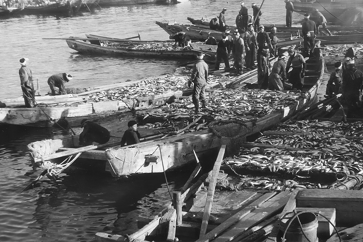 【札幌発着】ニシンの豊漁の地✦増毛・小平の 歴史・文化・食を学ぶ日帰り旅【日帰り】