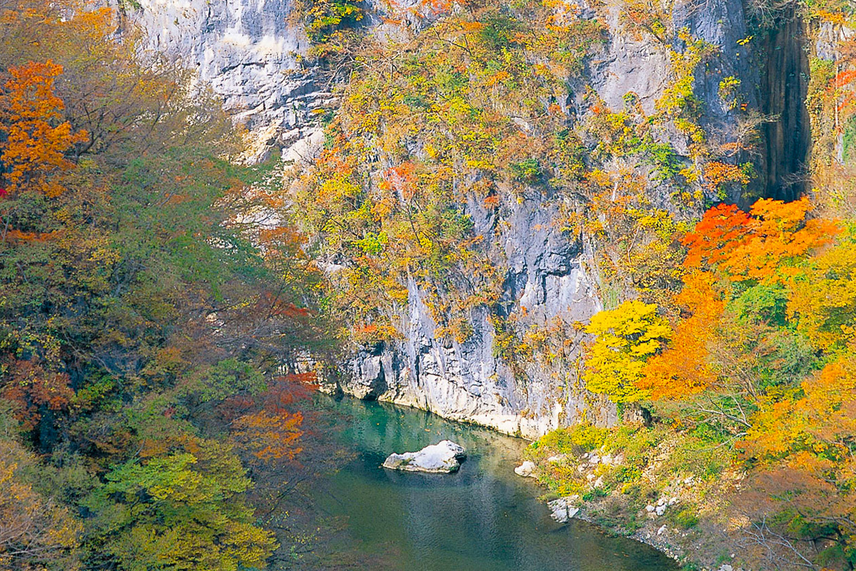 【苫小牧西港発着】太平洋フェリーで行く✨️錦秋の猊鼻渓舟下りと厳美渓【３日間】