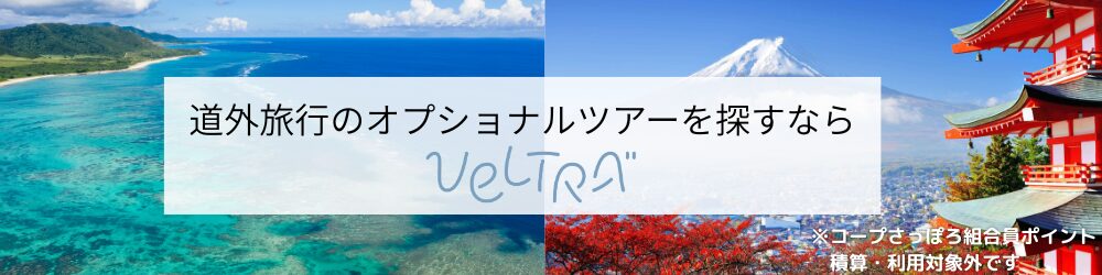 道外オプショナルツアー