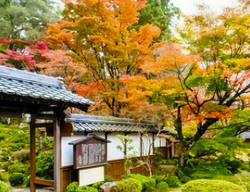 【新千歳空港発着】秋燃ゆる✦紅葉の京都・大阪・神戸関西三都めぐり【４日間】⦿12月出発⦿